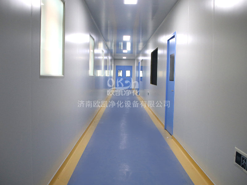 1571471272496962.jpg 產(chǎn)品-GMP凈化車間走廊.jpg
