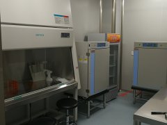 �f���o�������