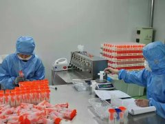 ����t(y��)����е����܇�g